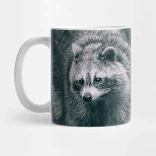 Curious Raccoon, Black and White Photograph Mug